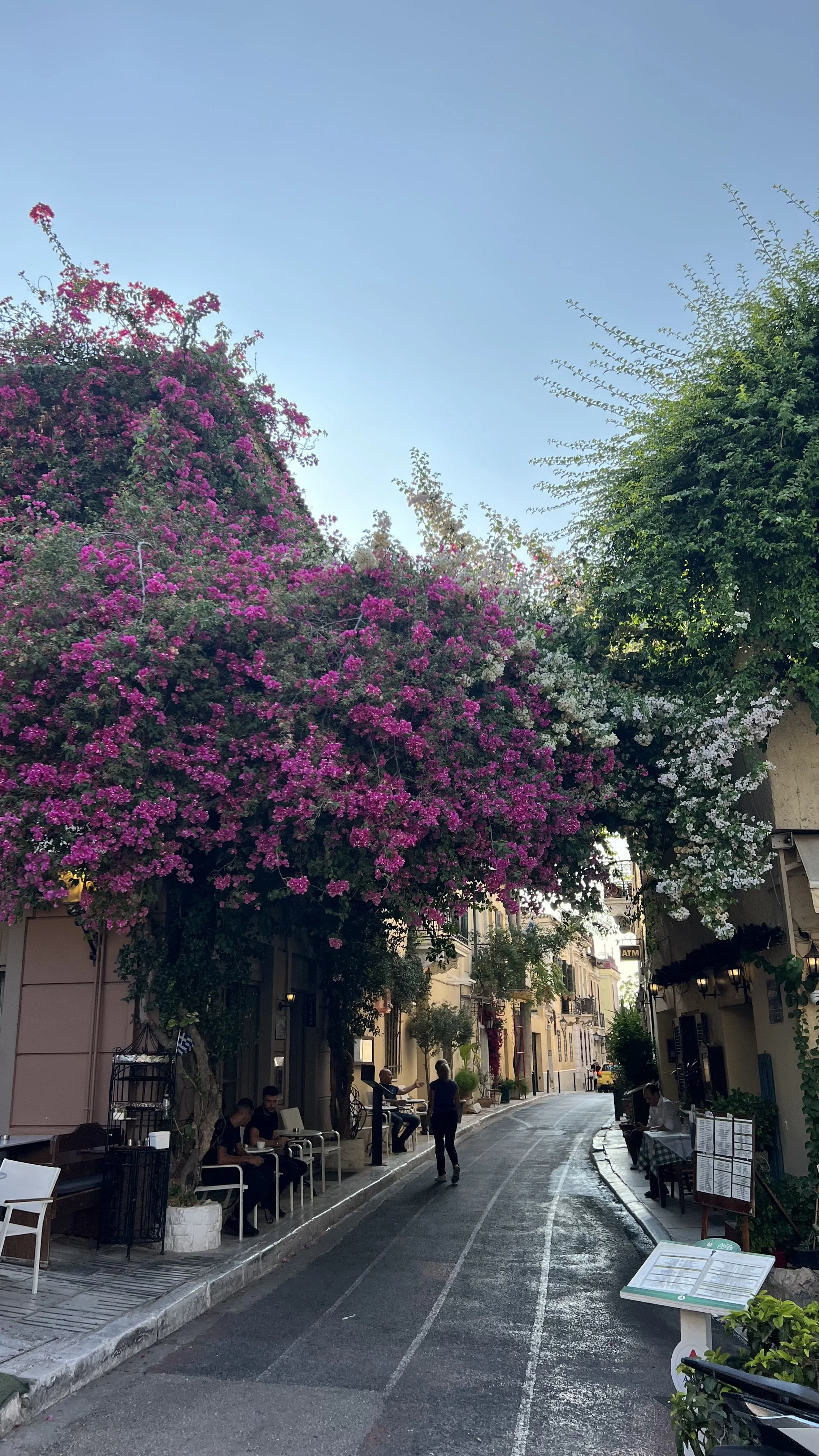 IMG_0082.jpeg