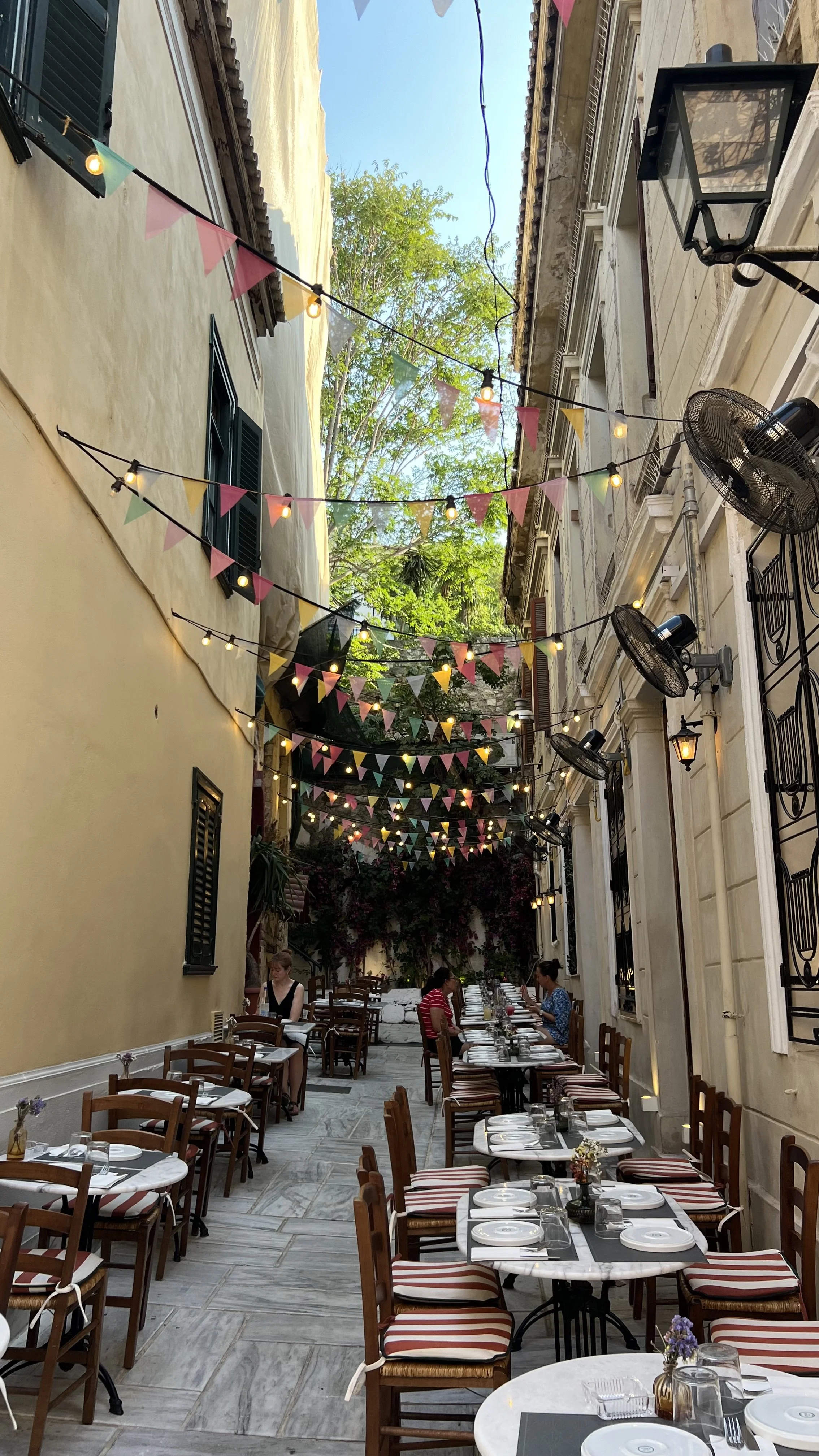 IMG_0087.jpeg