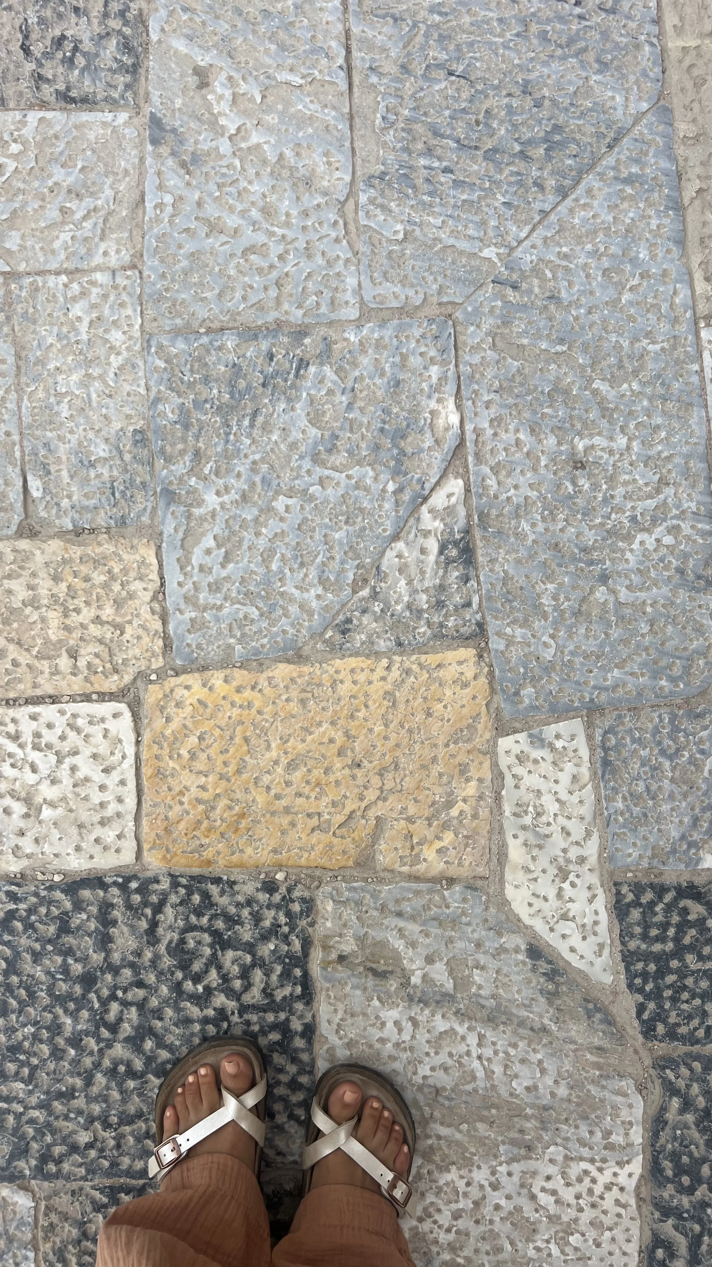IMG_0124.jpeg