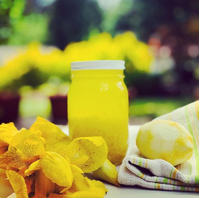 When life gives you lemons,  make limoncello 🤙🏽(and lemonade too, of course 🤗)! Loaded with vitamin C and bioflavonoids, it&rsquo;s not just all fun and games for this power-packed bright yellow champion fruit. 💪🏽🏅I have been wanting to make th