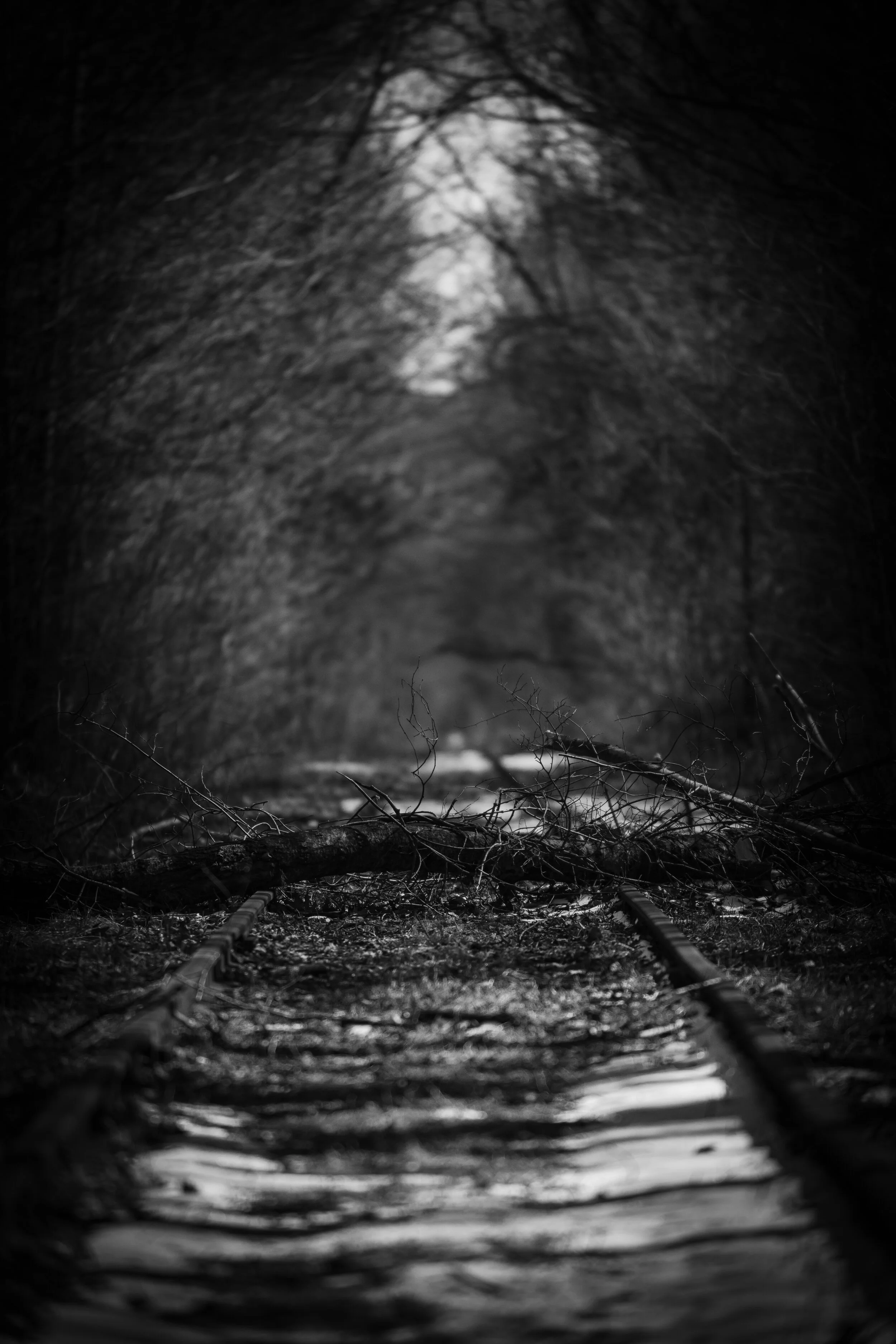 train tracks (1 of 1).jpg