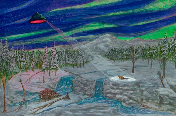 "Observing craft : the beaver"