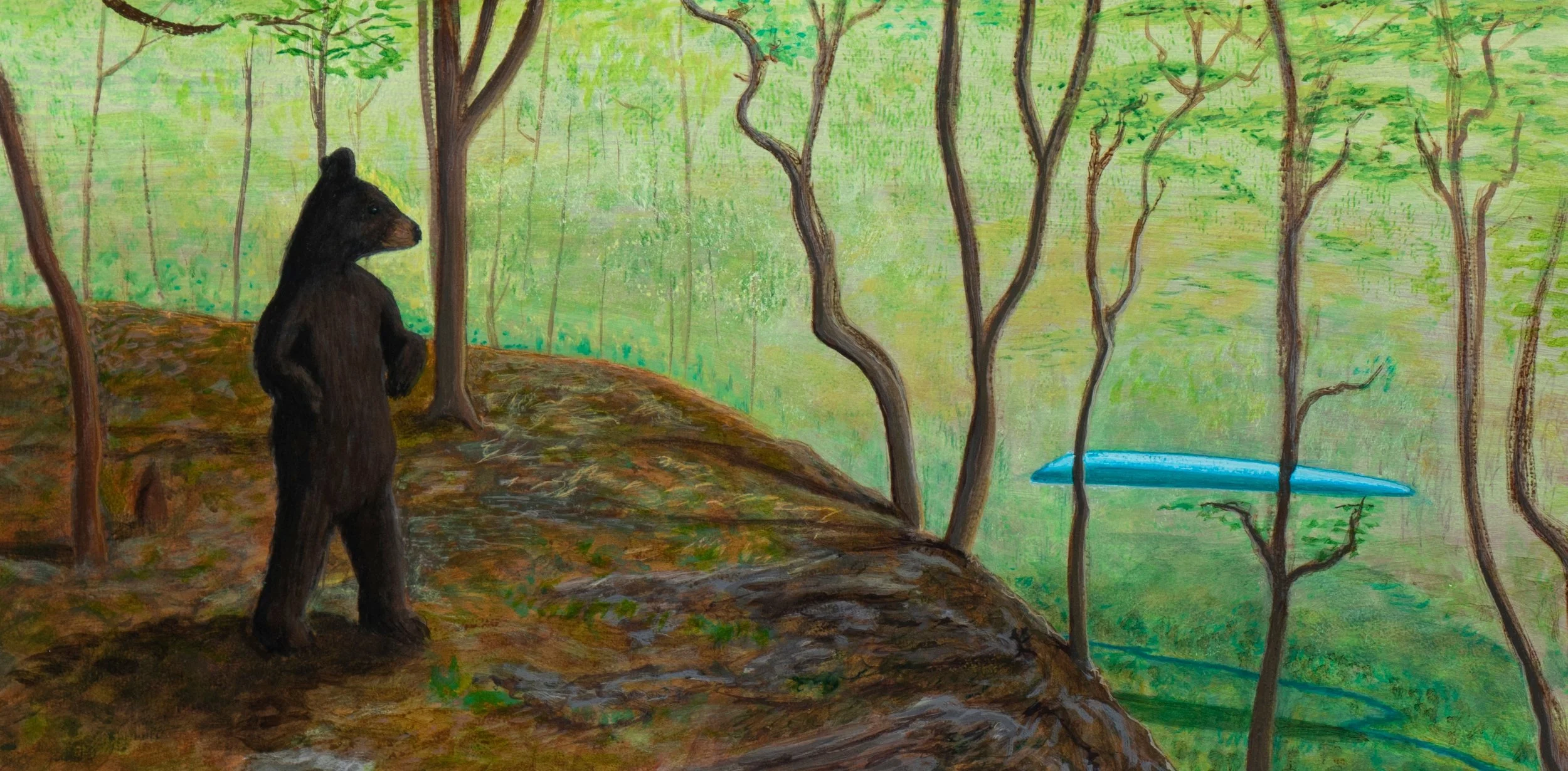 "Observing craft : bear in the woods"