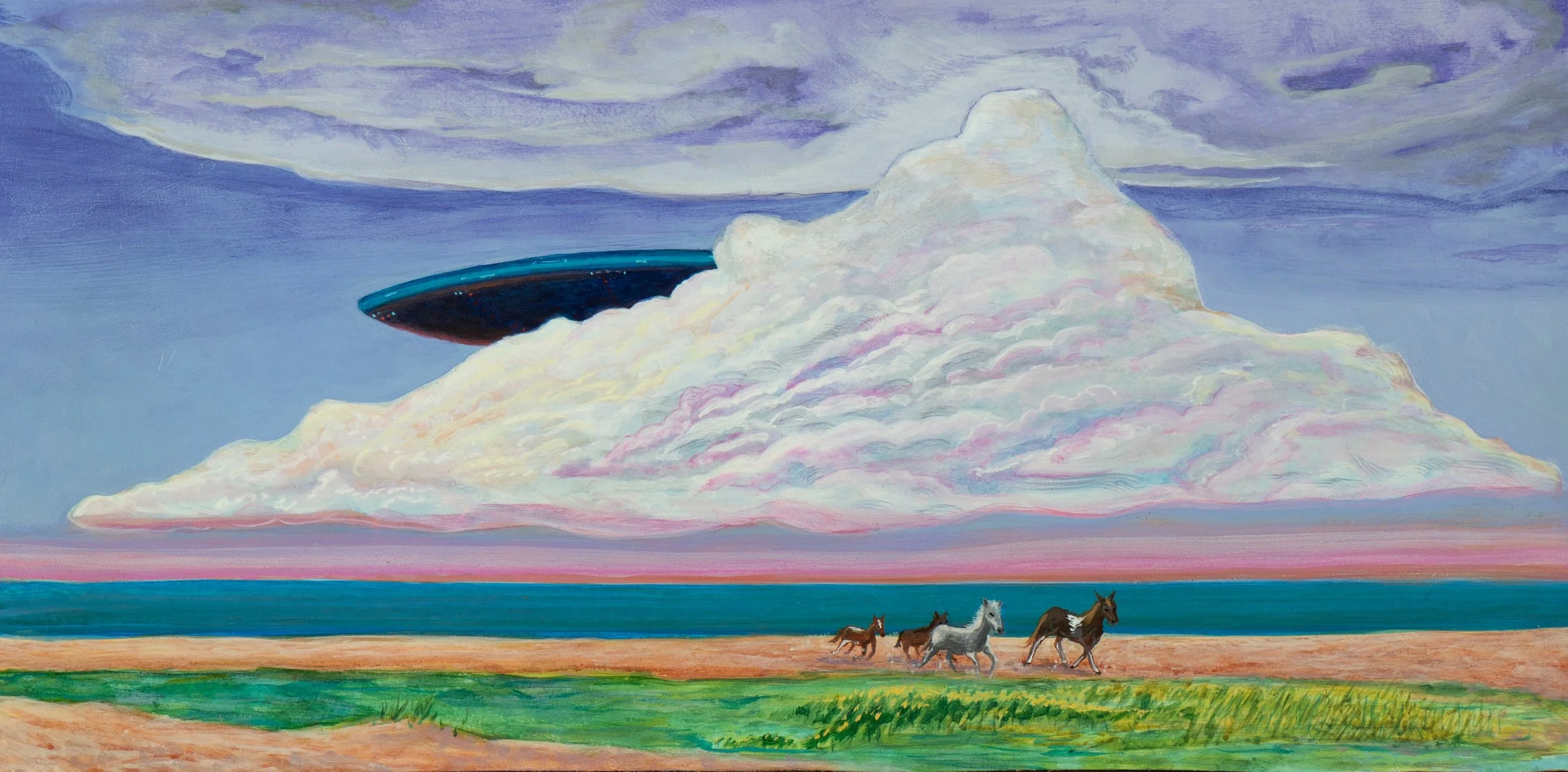 "Observing craft : wild ponies"