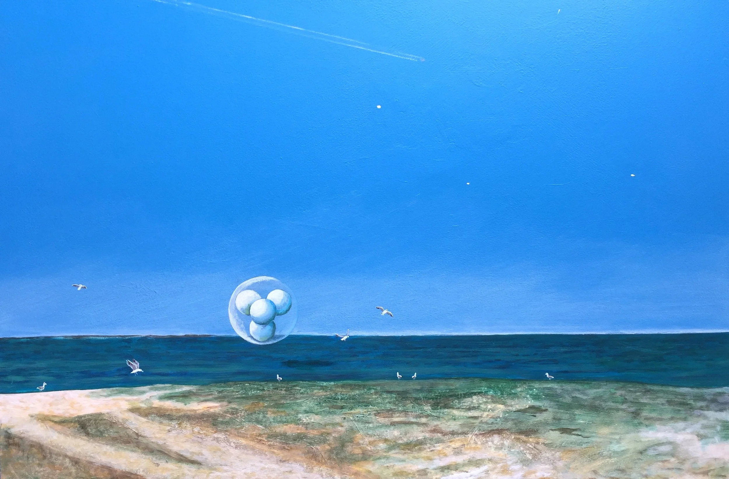 "Observing craft : gulls on bay"