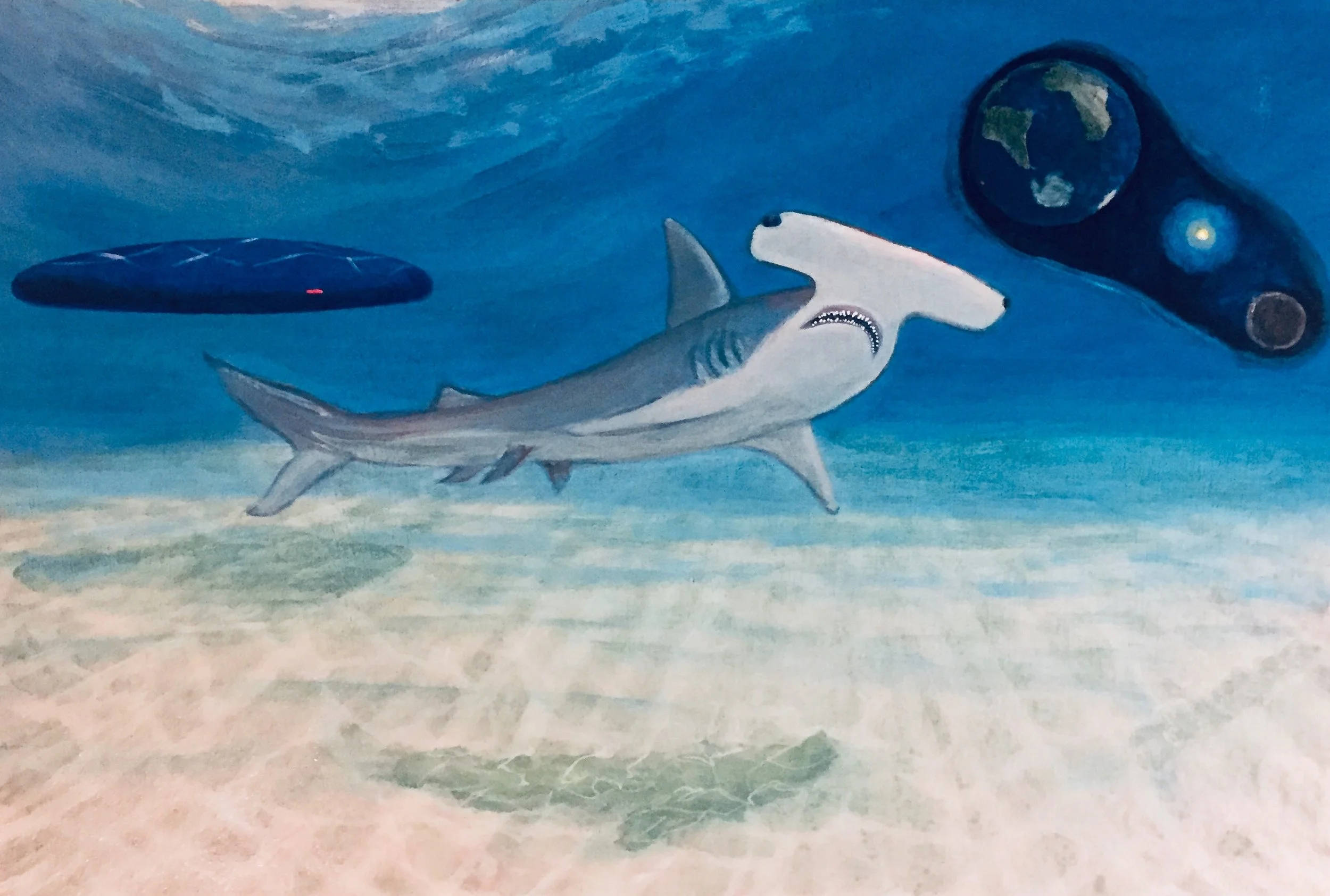 "U.S.O. gets shark woke"