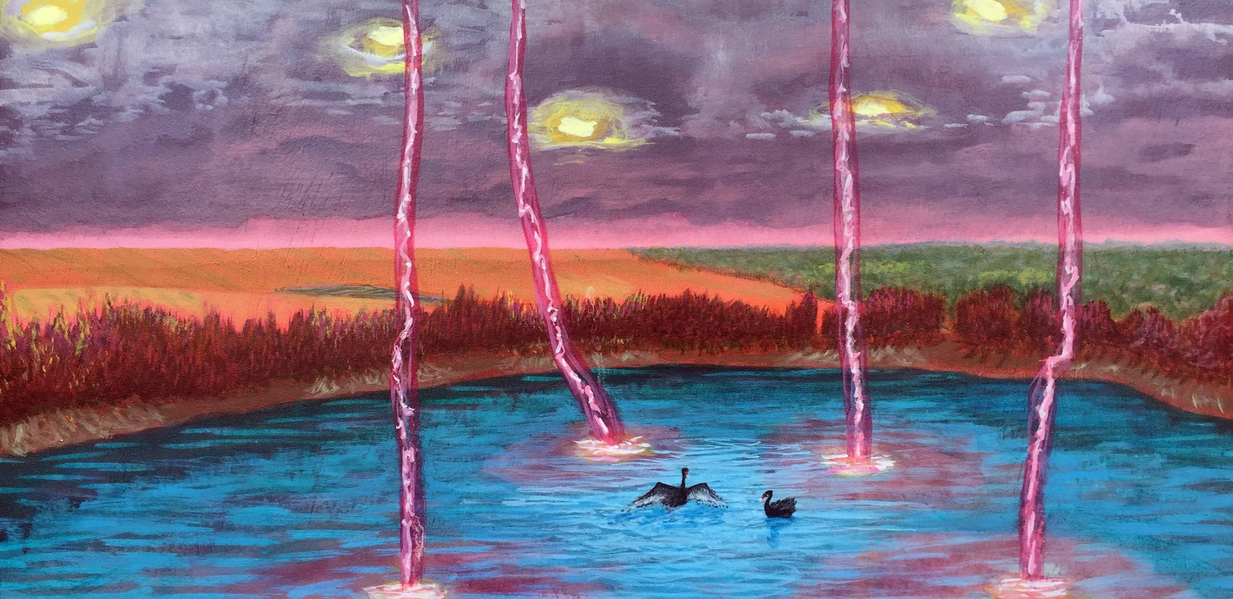 "Observing craft : black swans"