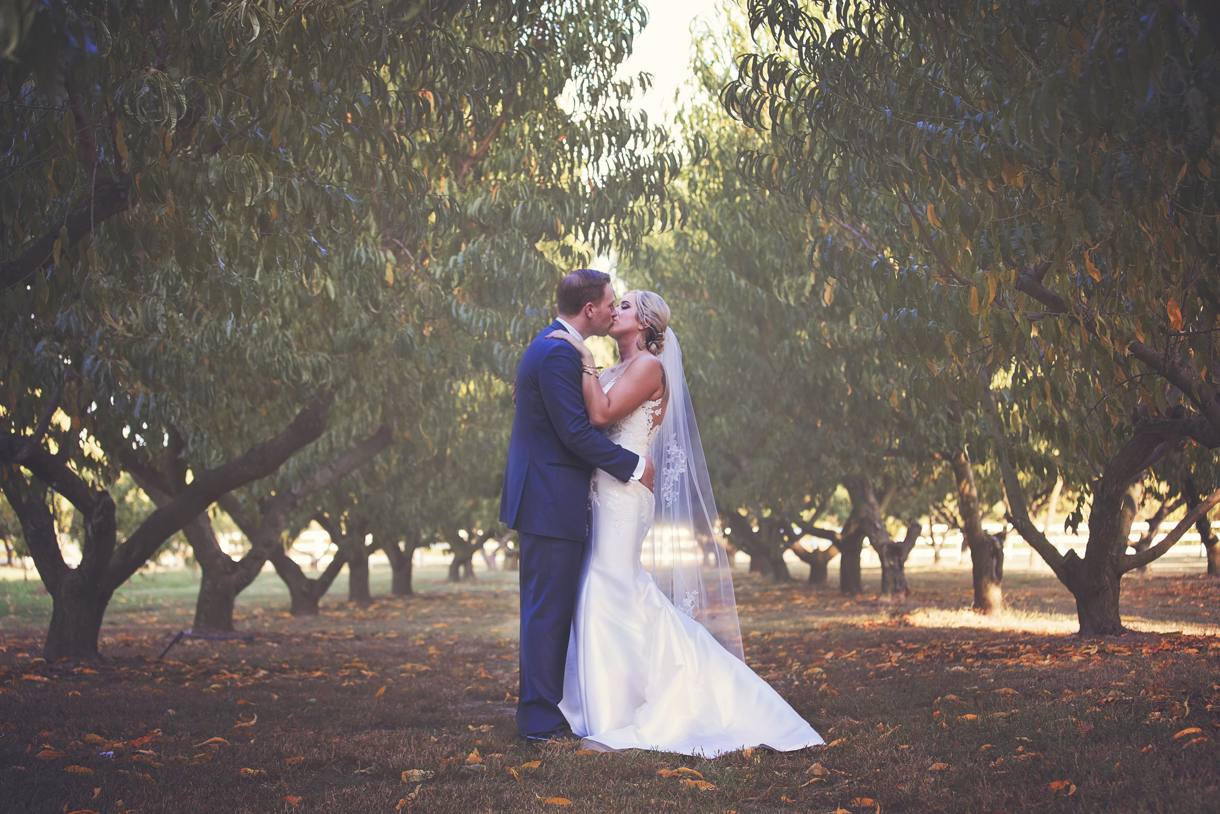 Peach Orchard Charm: Real Wedding