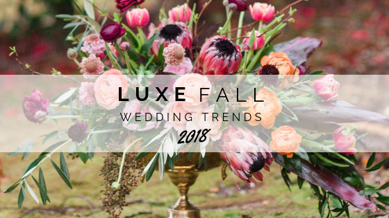 Luxe Fall Trends_Blog.png