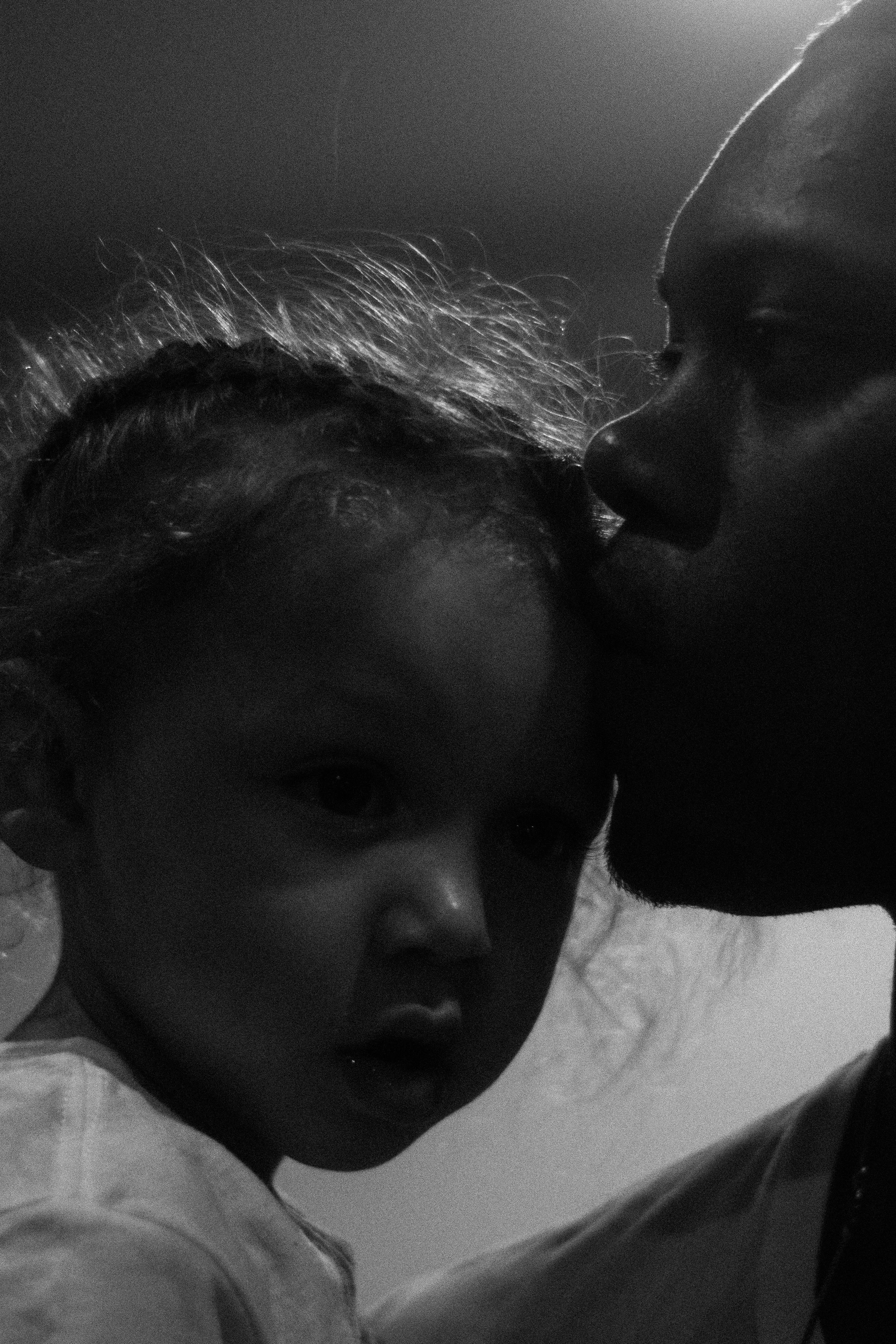 P1310206.JPG