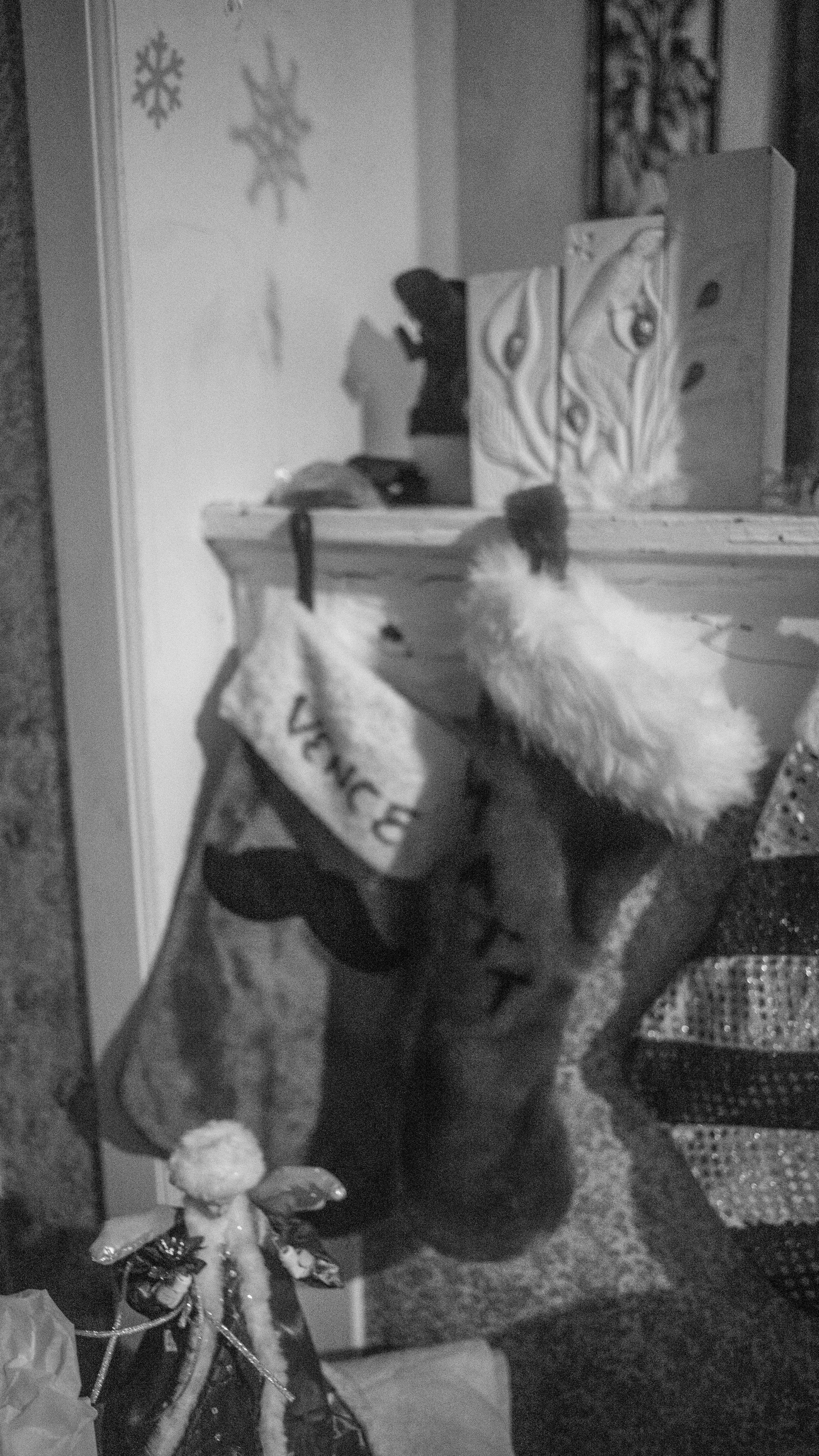 DSC09030.jpg