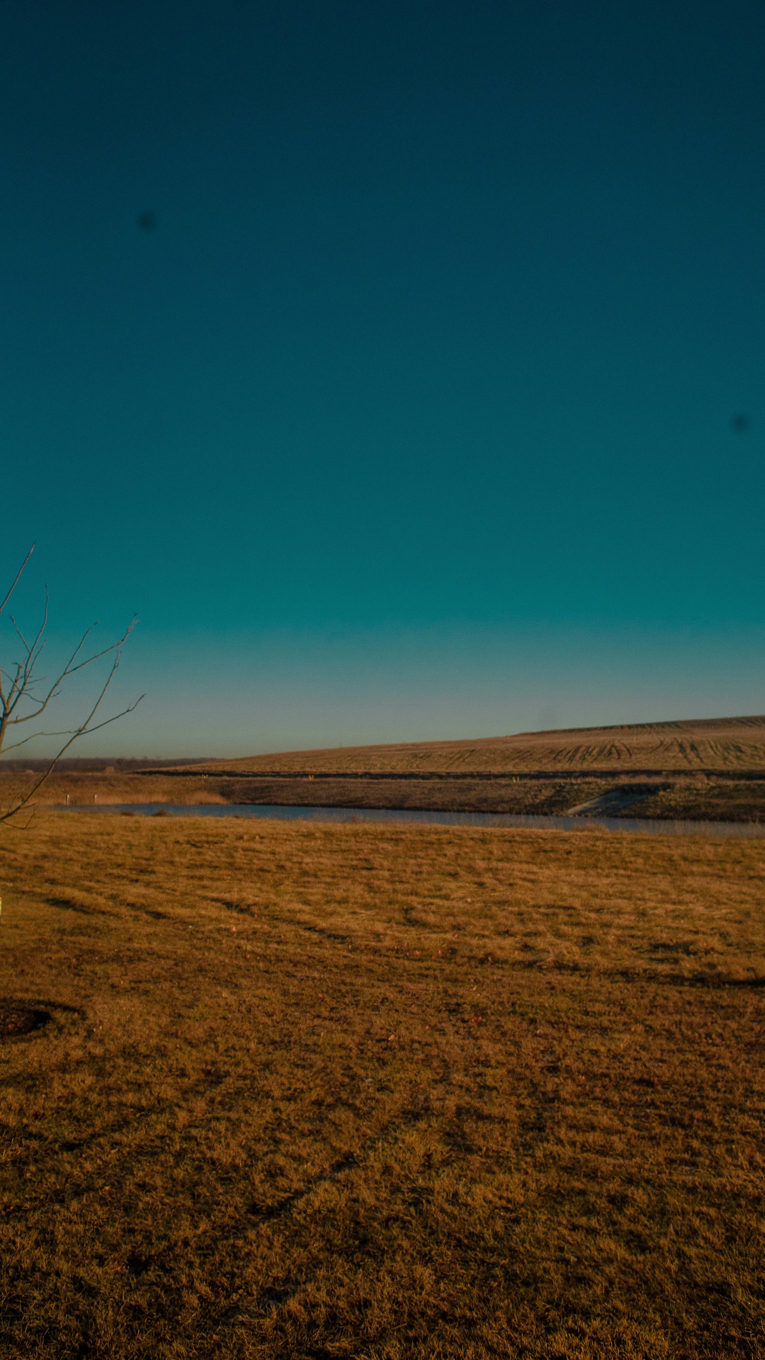 DSC09693 - Copy.jpg