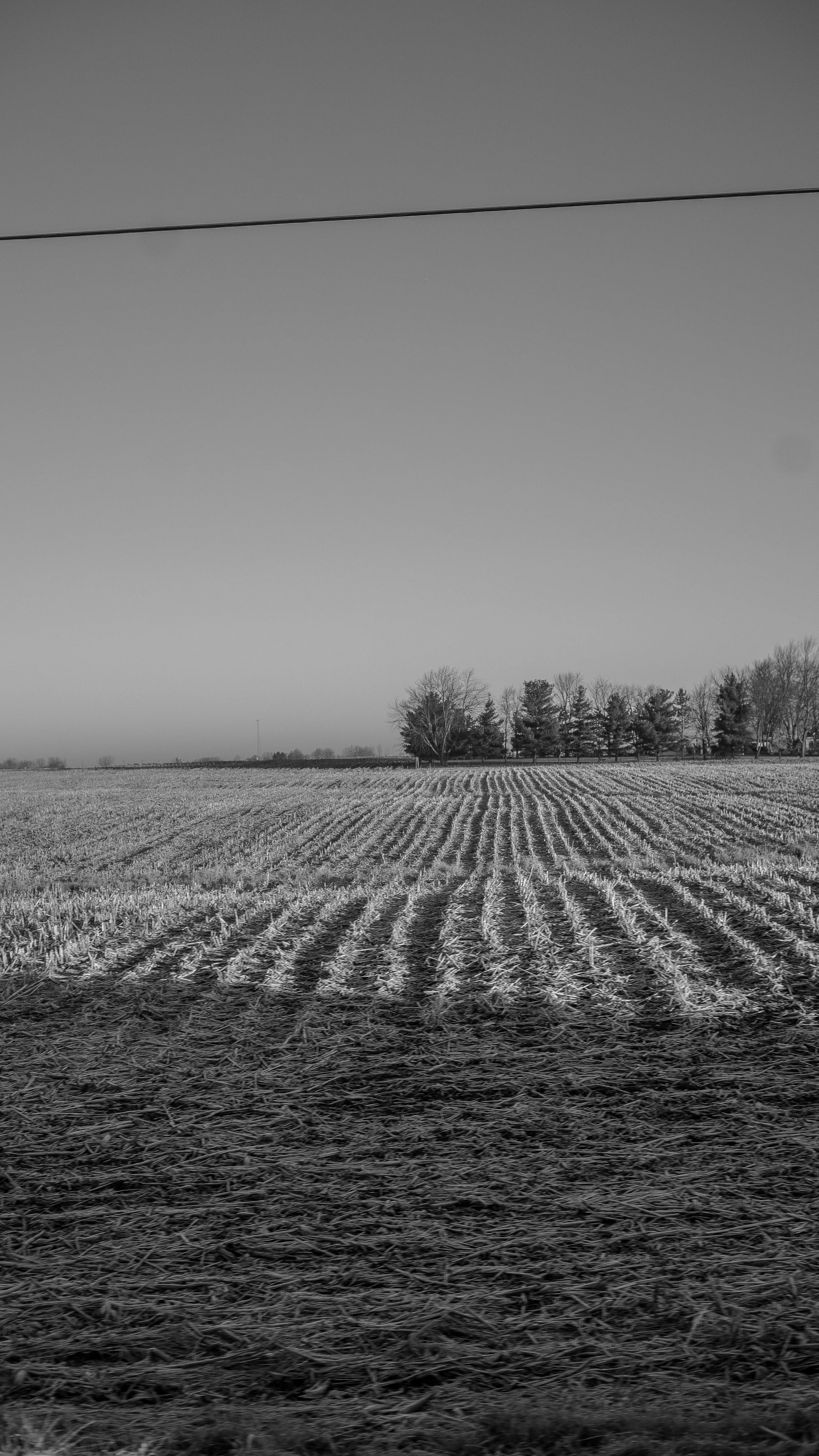 DSC09421 - Copy.jpg