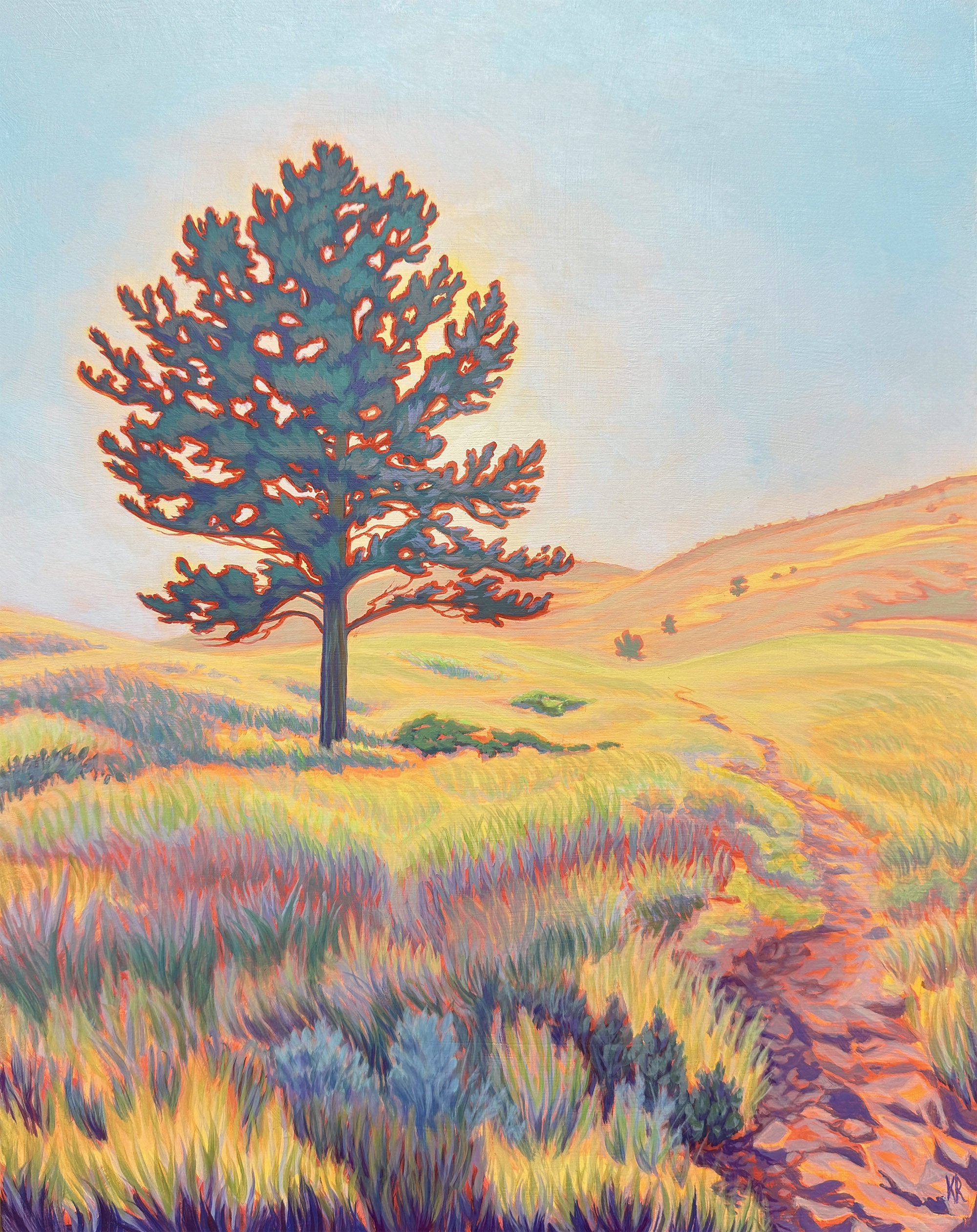 Golden Hour Pine_web.jpg