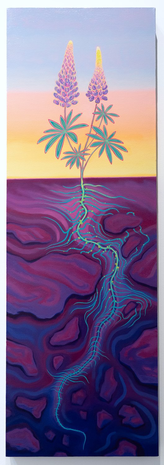Lupine / 30 x 12" / $1750
