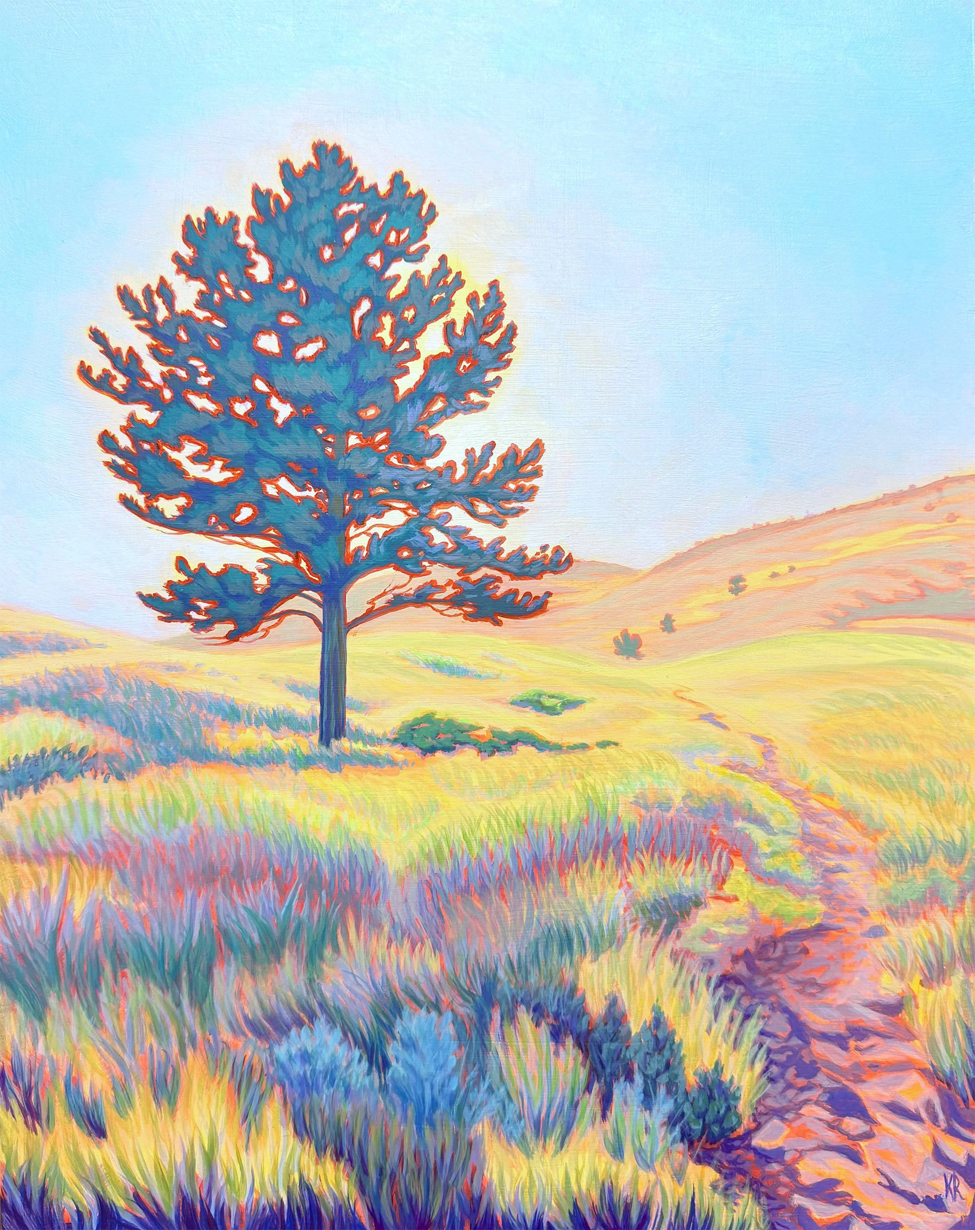 Golden Hour Pine_web.jpg