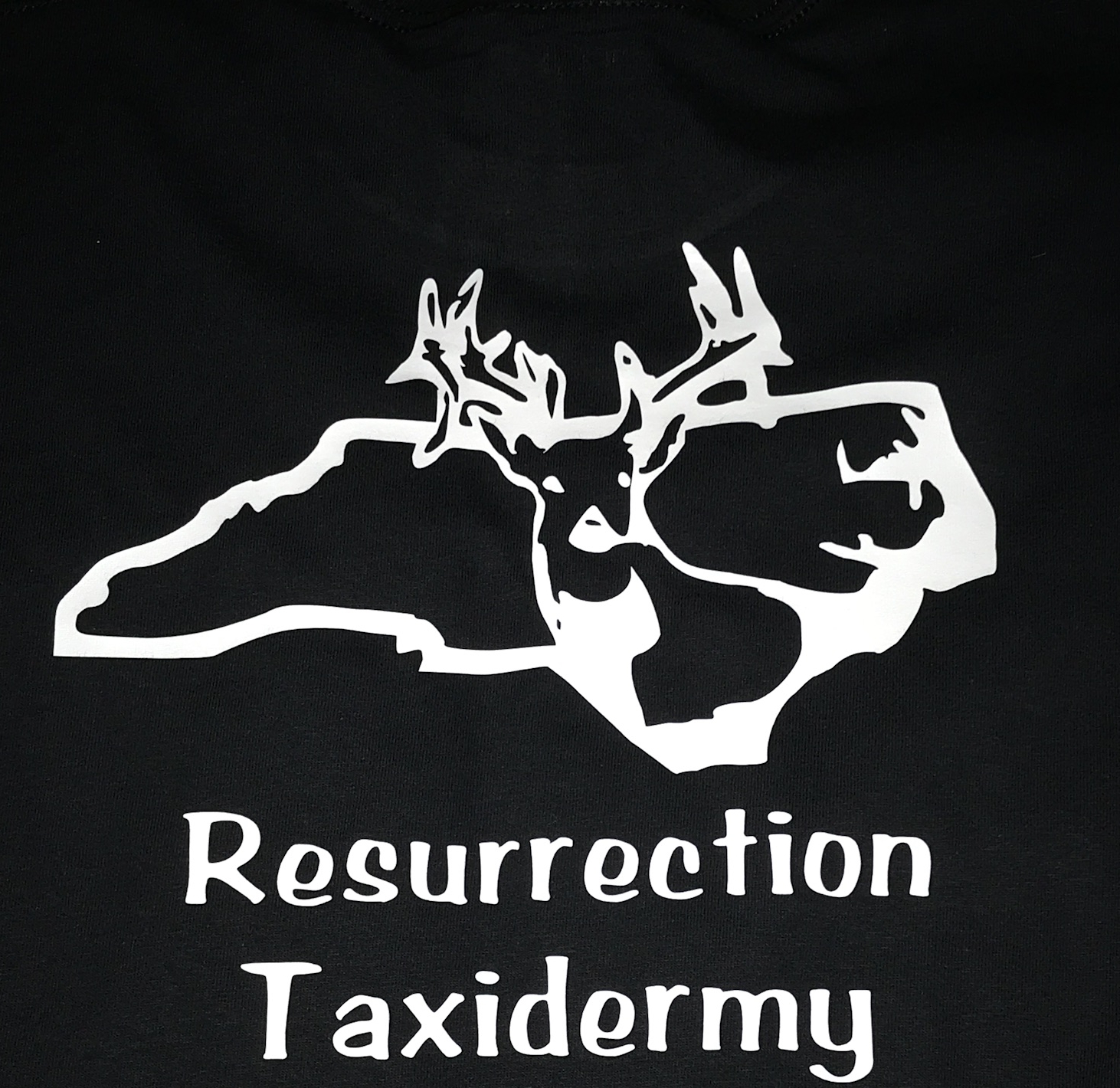 Resurrection Taxidermy 
