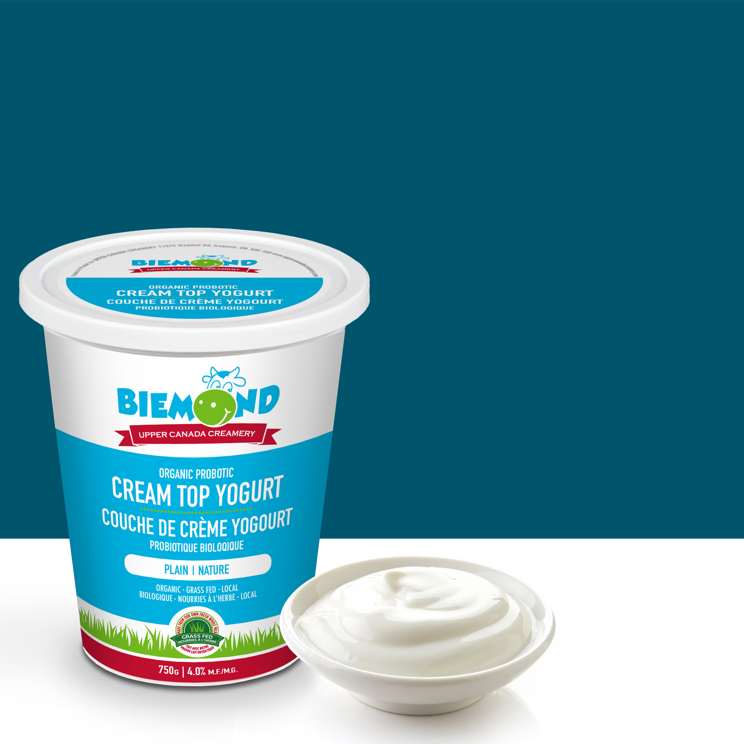 yogurt-square.jpg