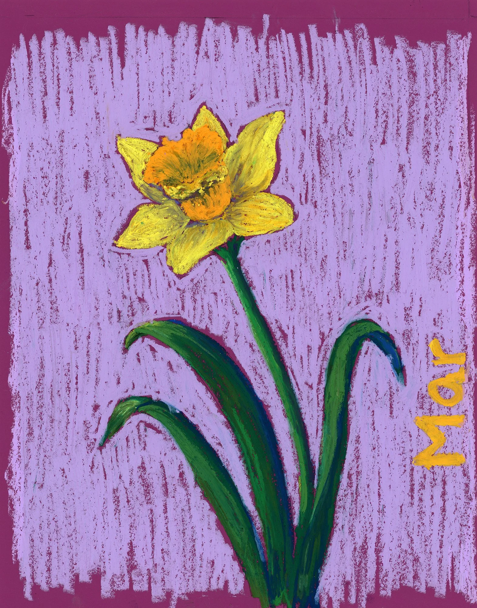 Daffodil - Oil pastel on paper