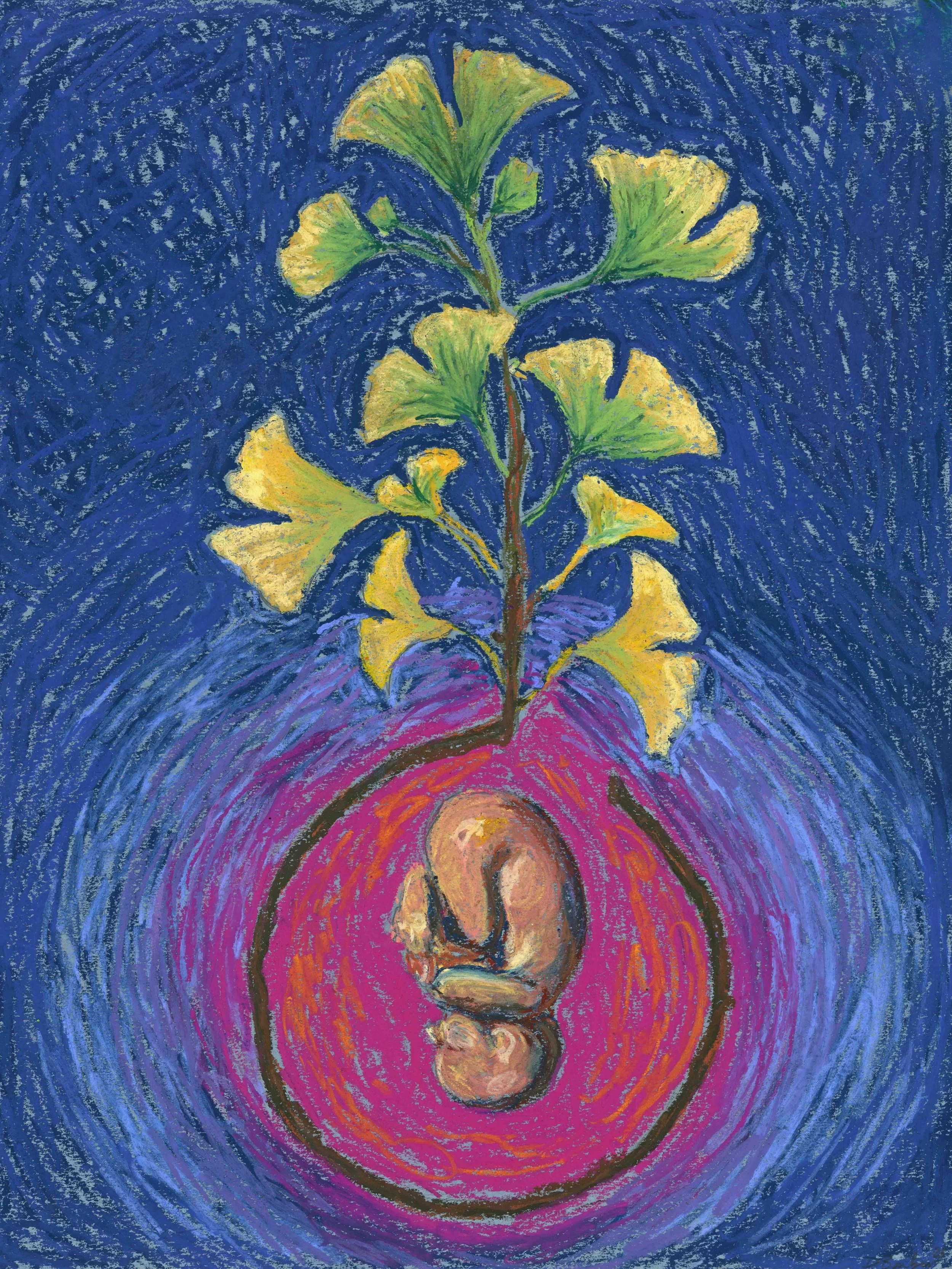 new life - oil pastel on paper
