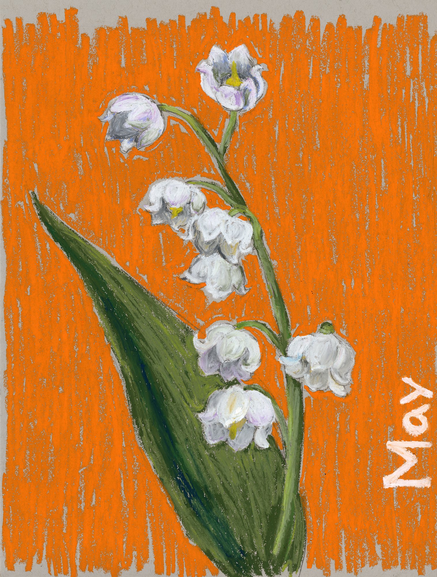 Lily of the Valley - Oil pastel on paper