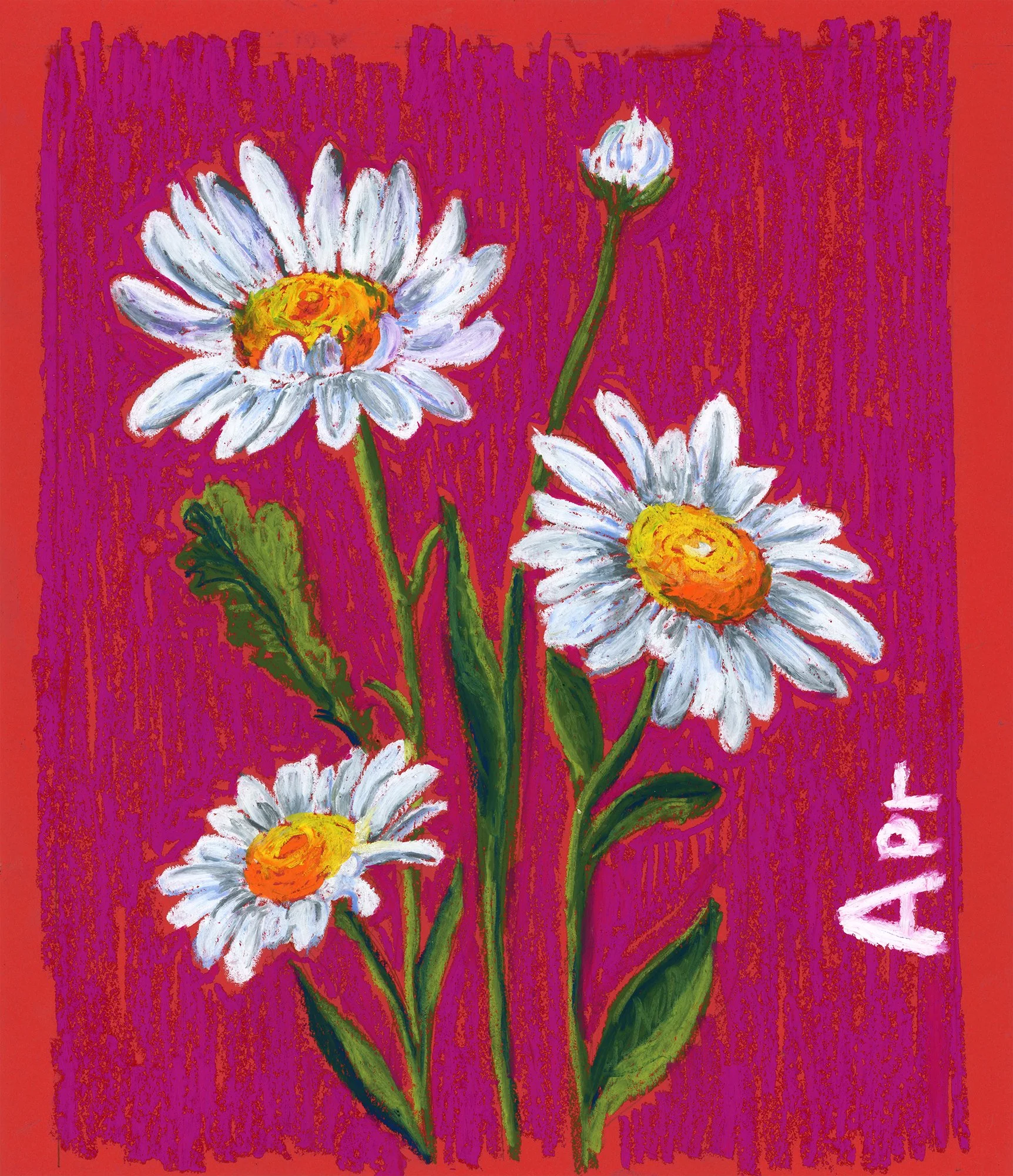 Daisy - Oil pastel on paper