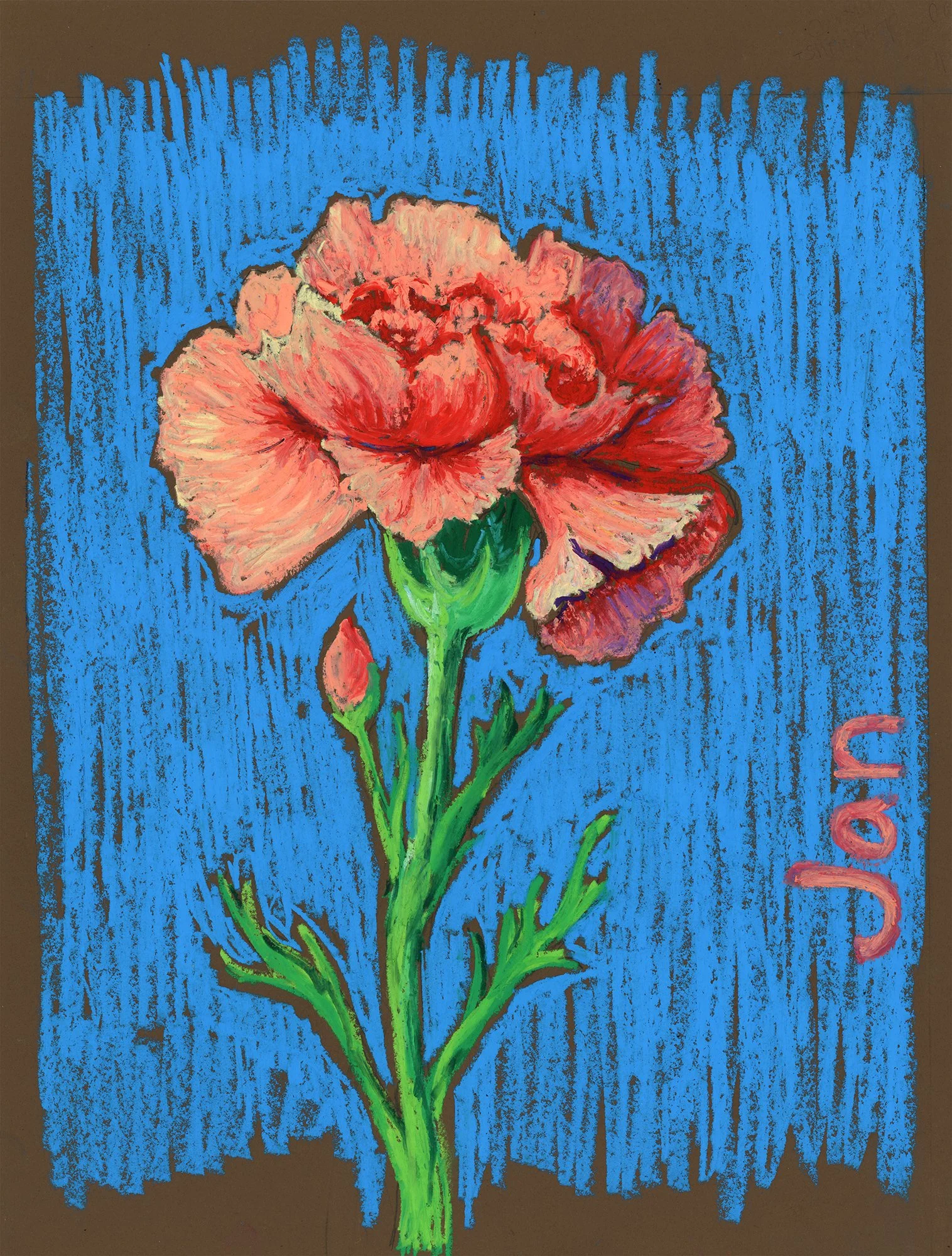 Carnation - Oil pastel on paper