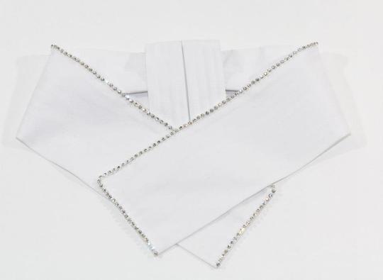 crystal_stock_tie_540x.jpg