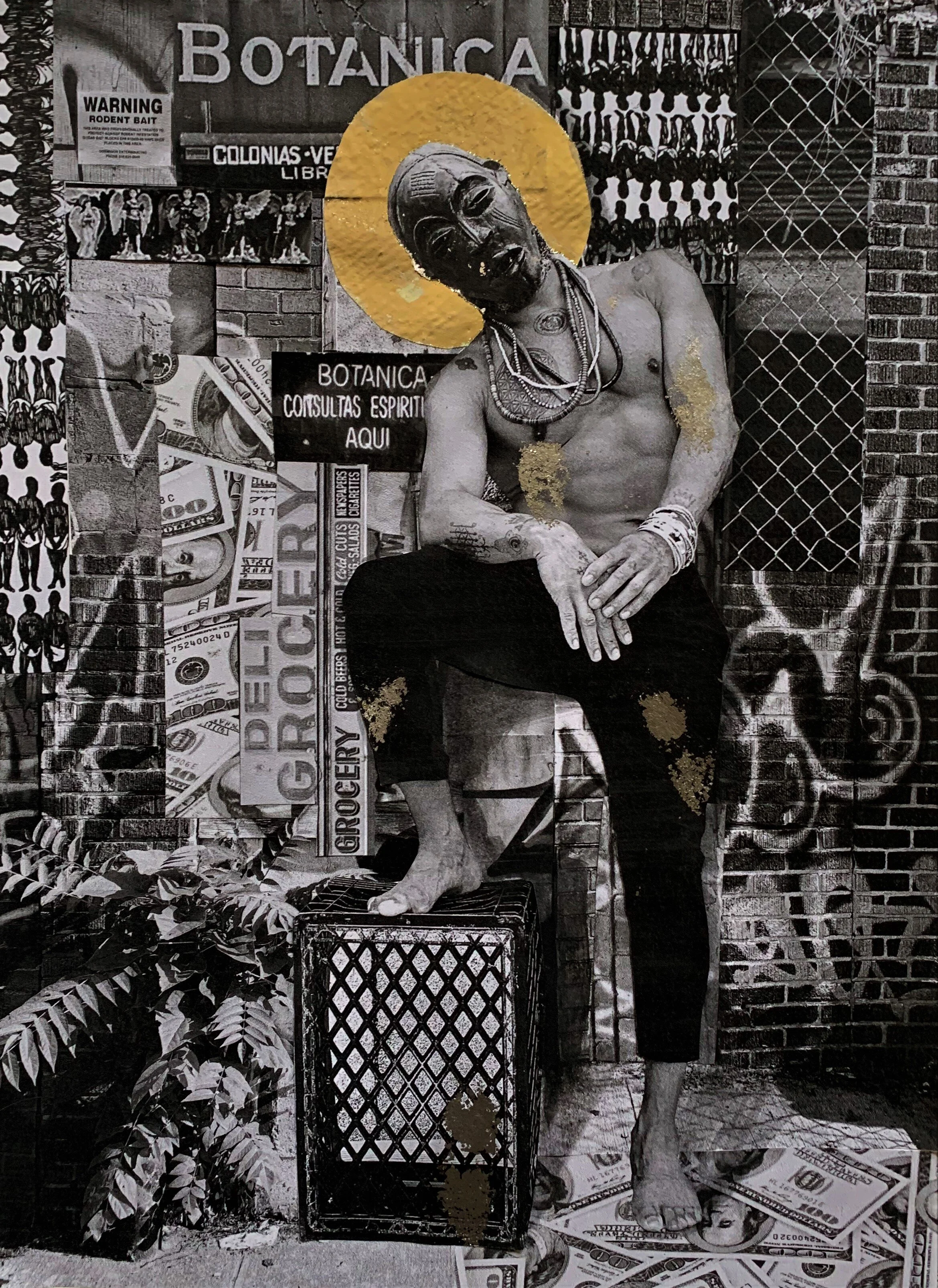 BODEGA ANCESTOR II