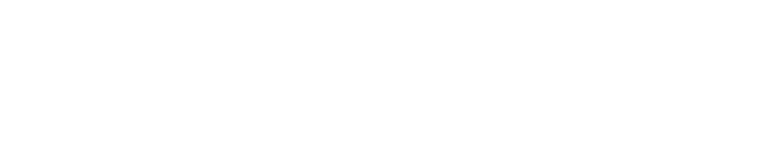 website logo.png