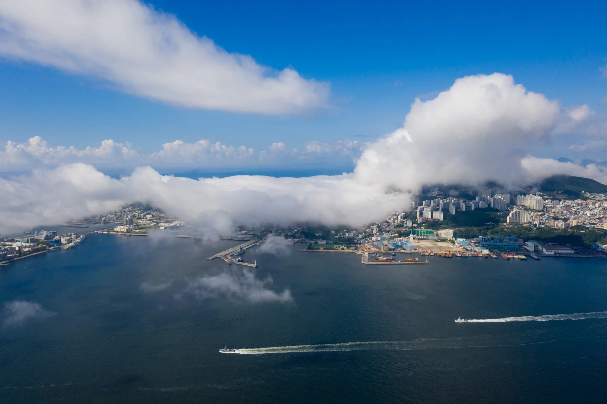 Suhyup_Busan_-1.jpg