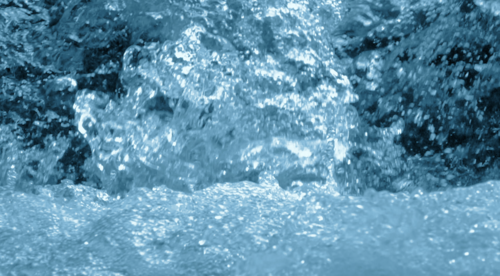 Screen+Shot+2018-08-10+at+12.59.11+AM.png