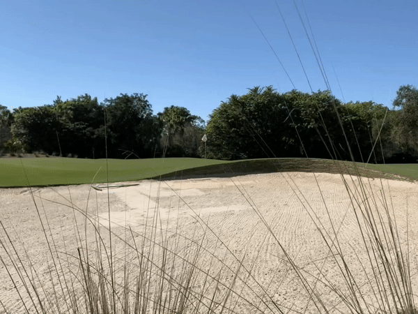 tiburon-golf-best.gif
