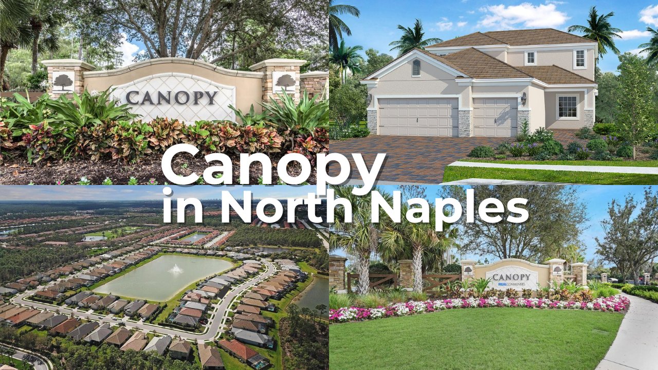 Canopy in North Naples Florida Homes Composite.jpeg