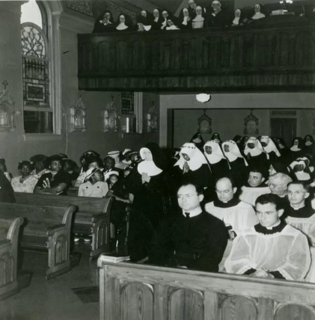 Segregated profession 1947 proportion 2.jpeg