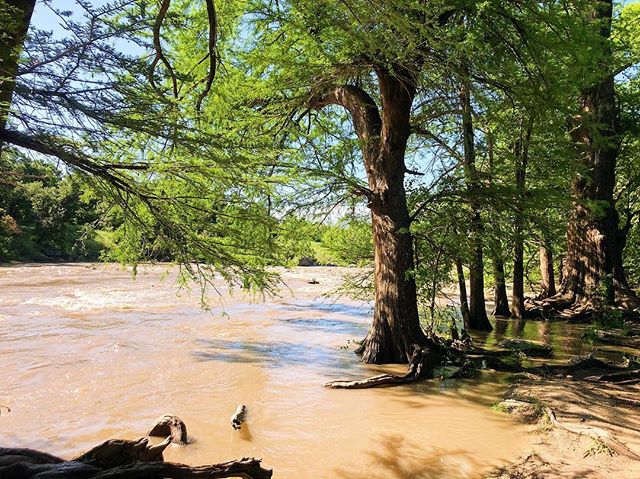 The beautiful R&iacute;o Guadalupe this morning 🌞 Thank you to everyone who came out and participated on the inaugural El Mapache Trail Run! Already looking forward to see you next year 🦝🌿