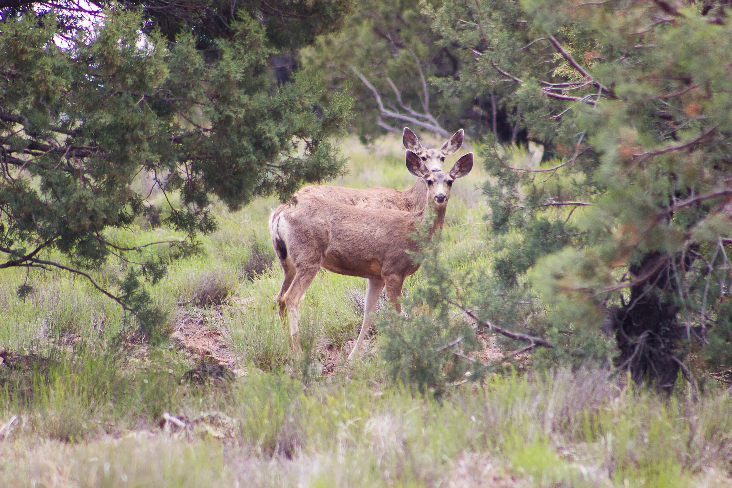 Top 5 Outdoor Influencers of 2019