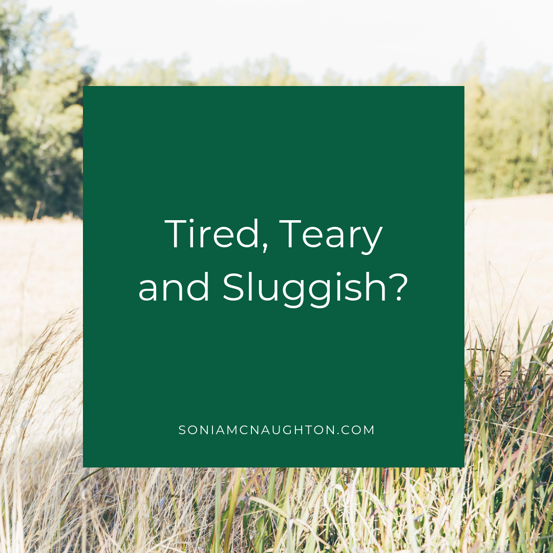 tired-teary-sluggish-sonia-mcnaughton-naturopath-nutritionist-newcastle-thyroid-womens-health-hormones-mayfield.png