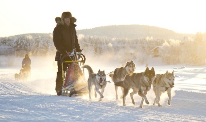 Husky03-700x414.jpeg