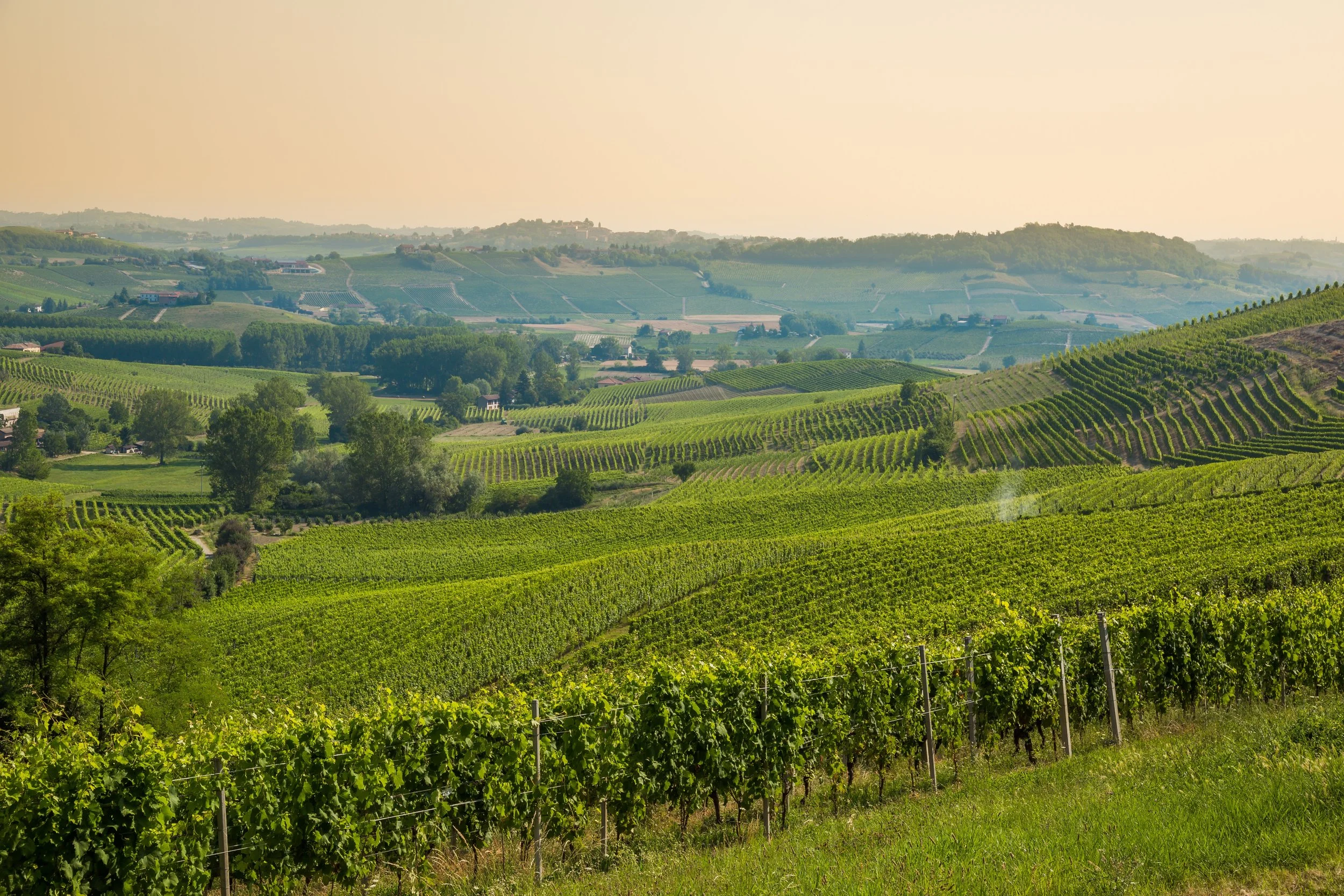 Flinders Ranges and Winery Tour