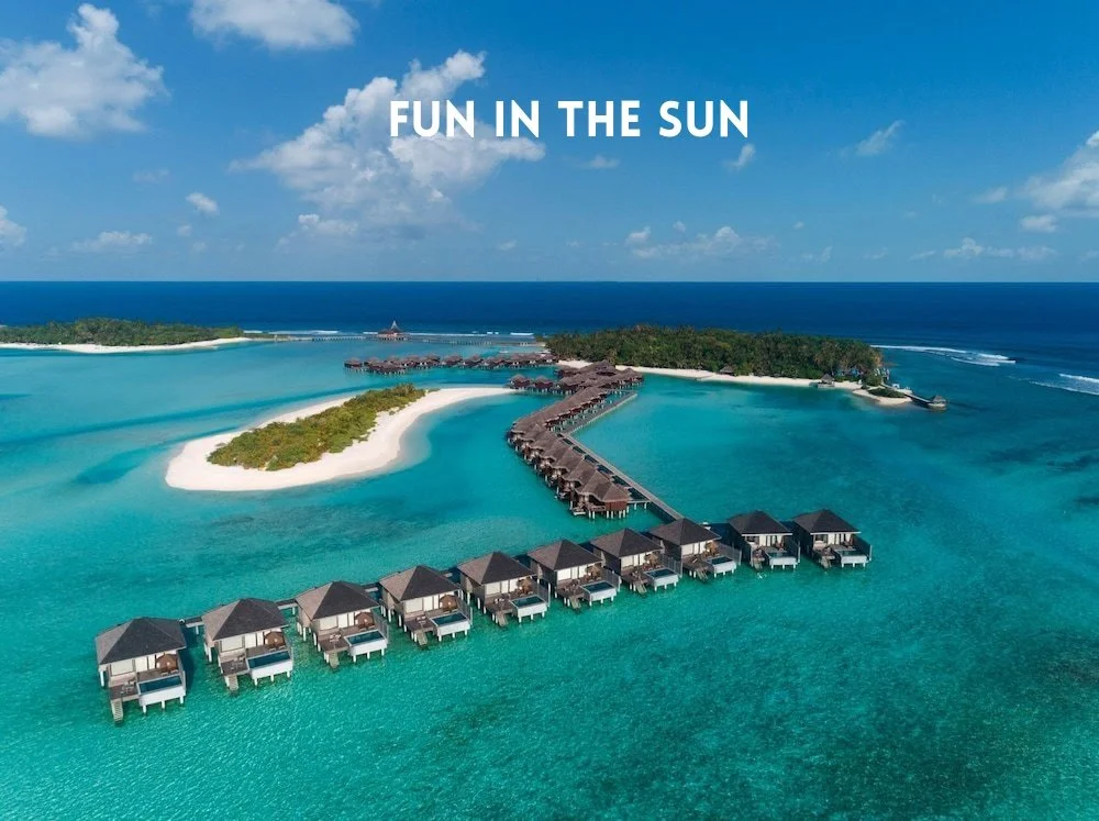 Fun in the Sun Front Page.jpg