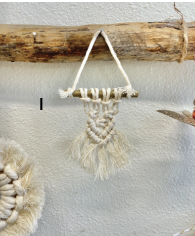 Screen Shot 2023-11-25 at 7.24.56 AM.png