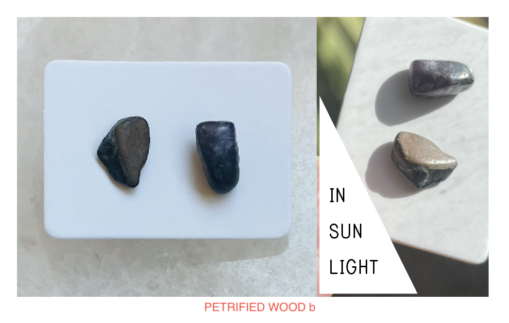 PETRIFIEDWOOD-B.png