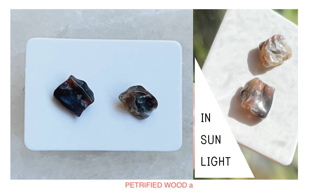 PETRIFIEDWOOD-A.png