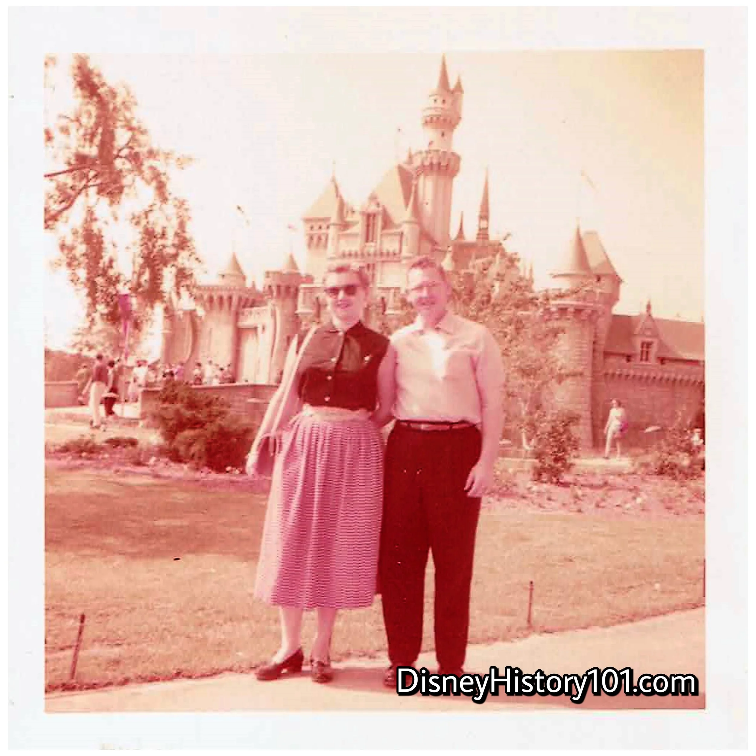Sleeping Beauty Castle