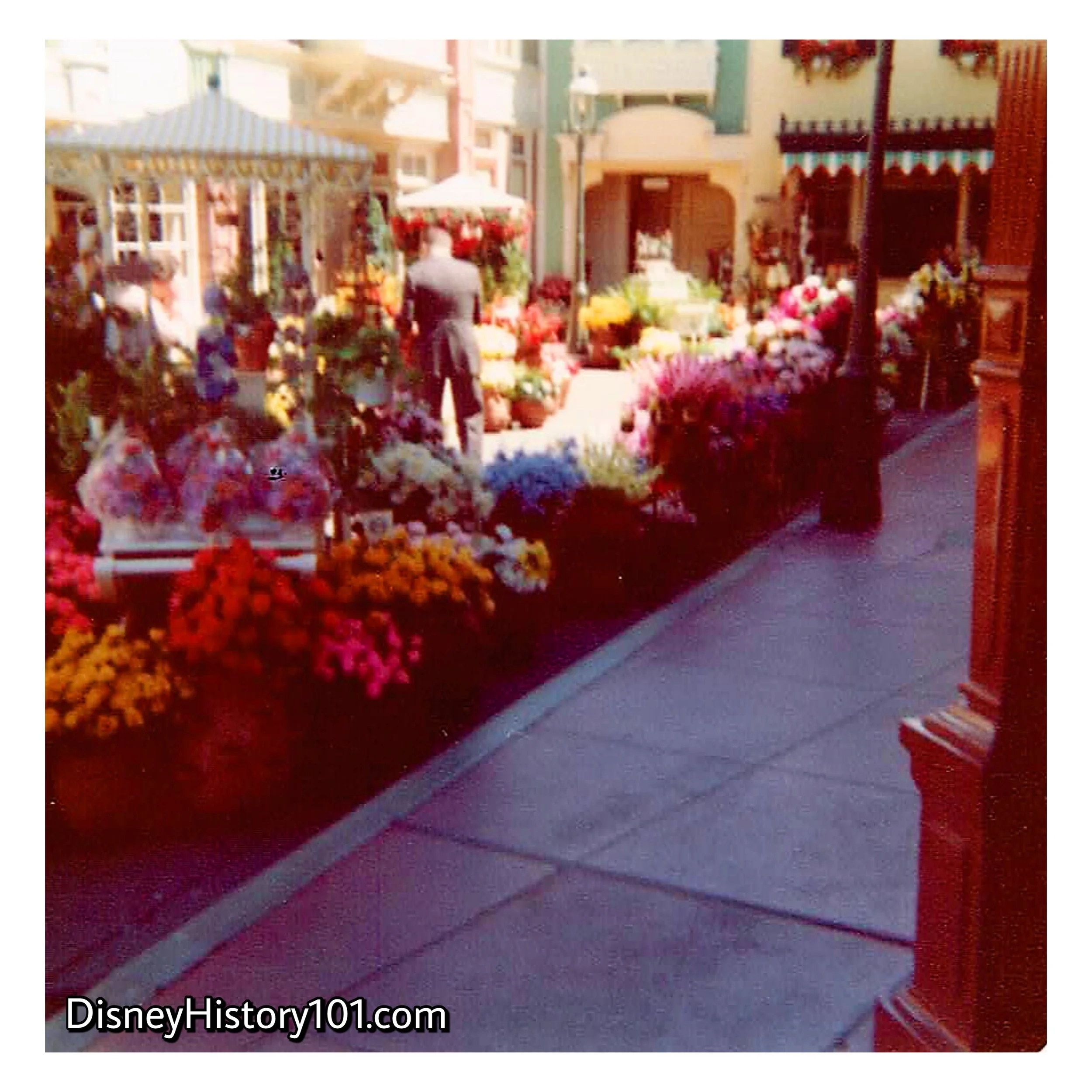 Flower Market on East Center Street, (1978)