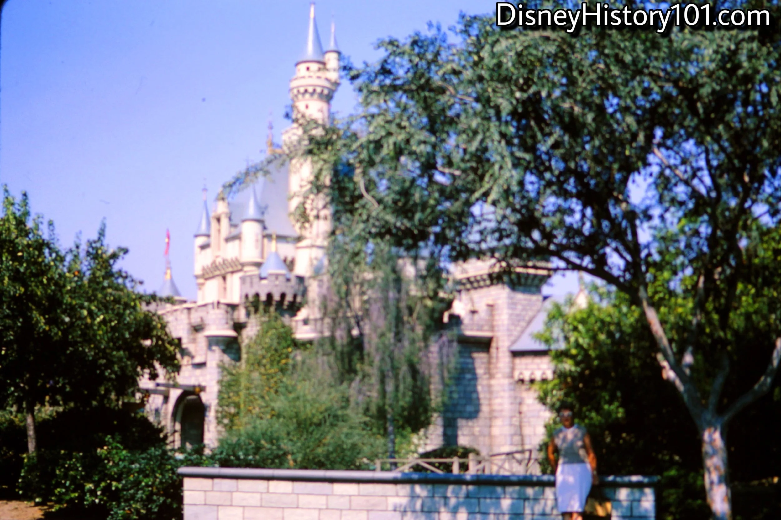 Sleeping Beauty Castle