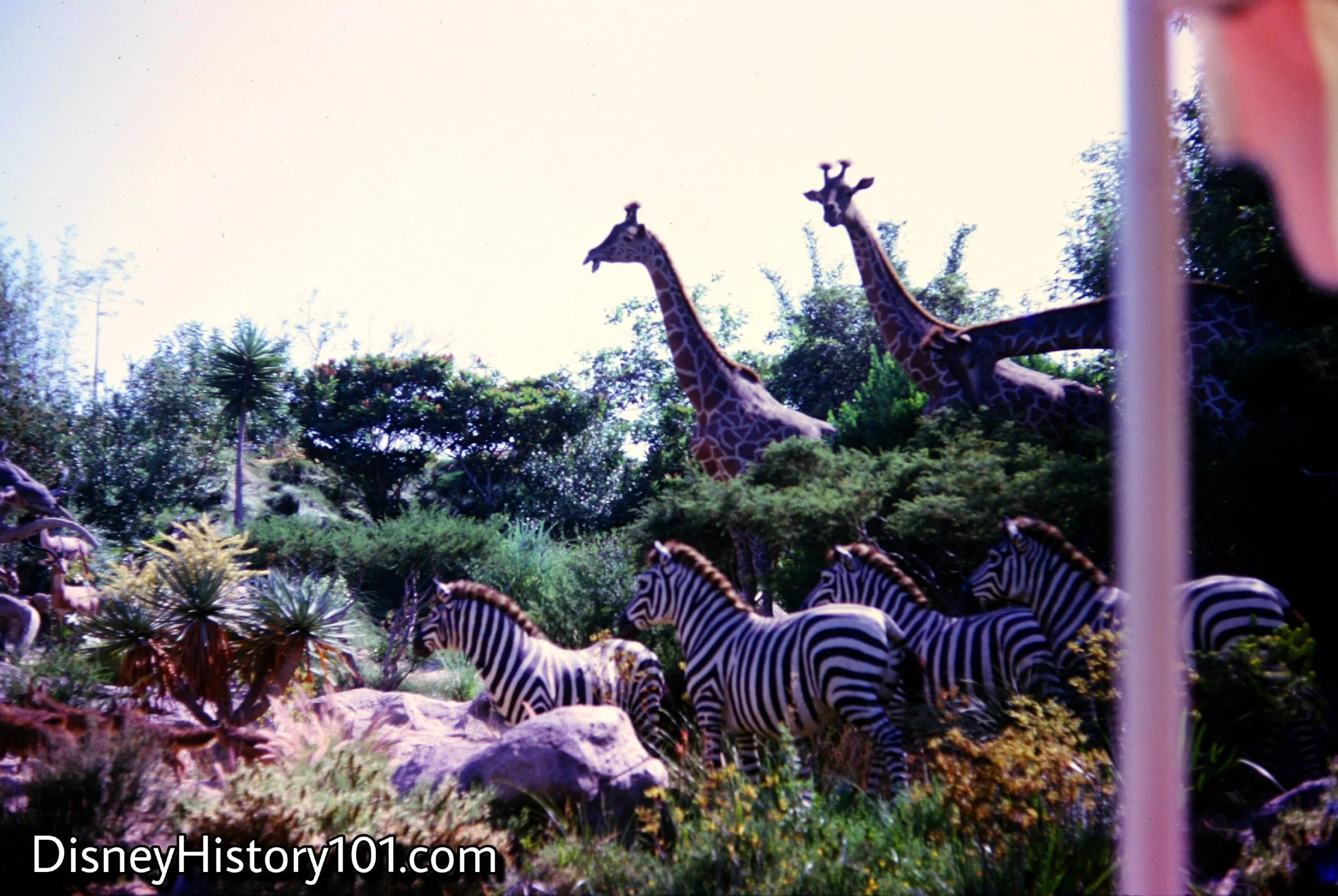 1965, August
