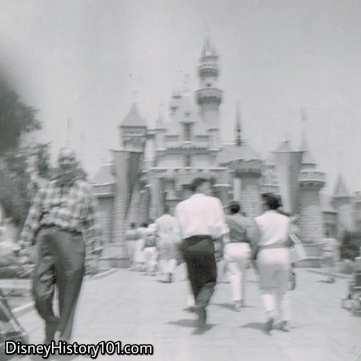 Sleeping Beauty Castle