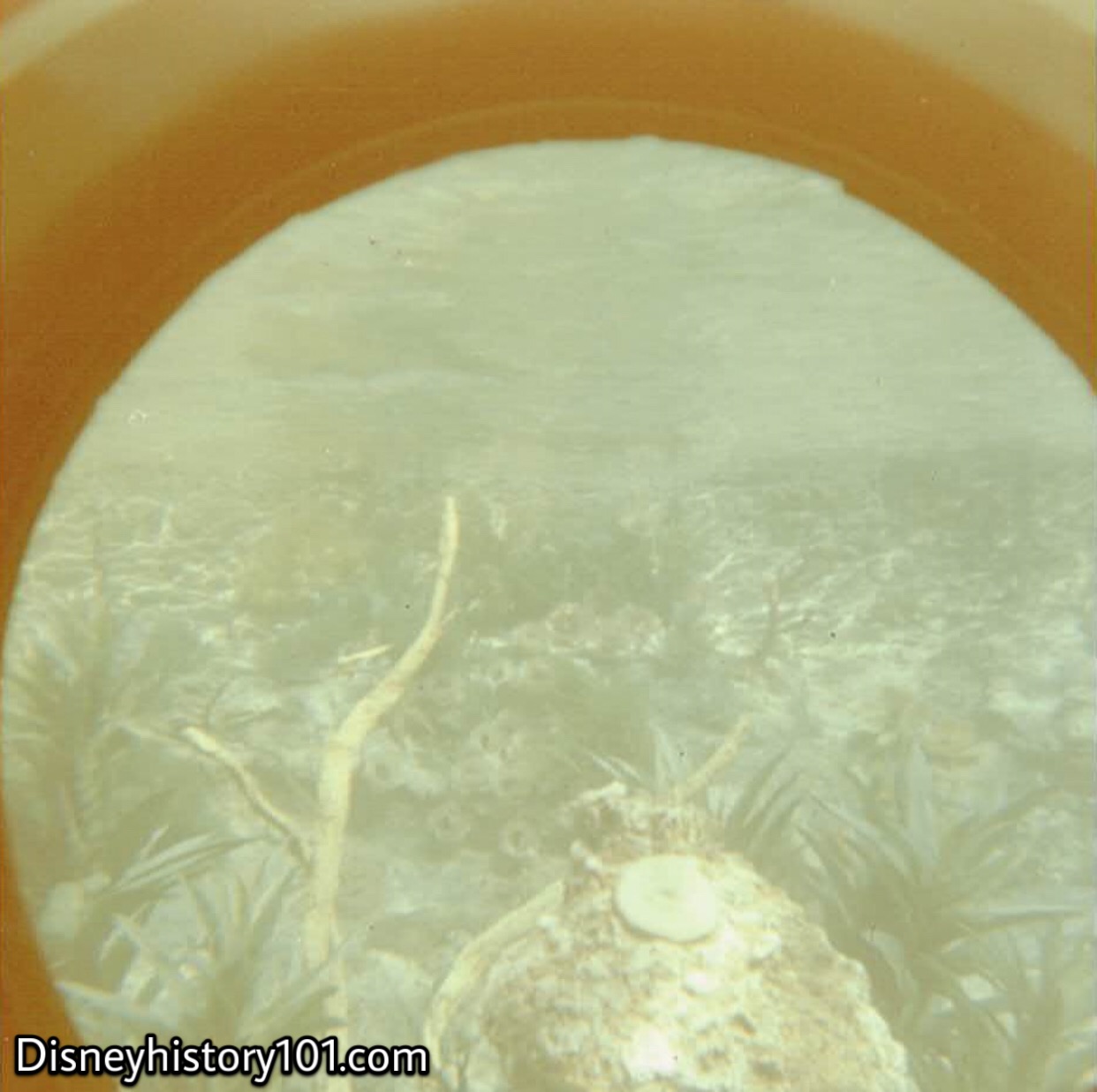  “Through his own individual porthole in the 38-passenger air-conditioned vessel, the guest ‘crewman’ viewed a South Seas coral Lagoon.” 